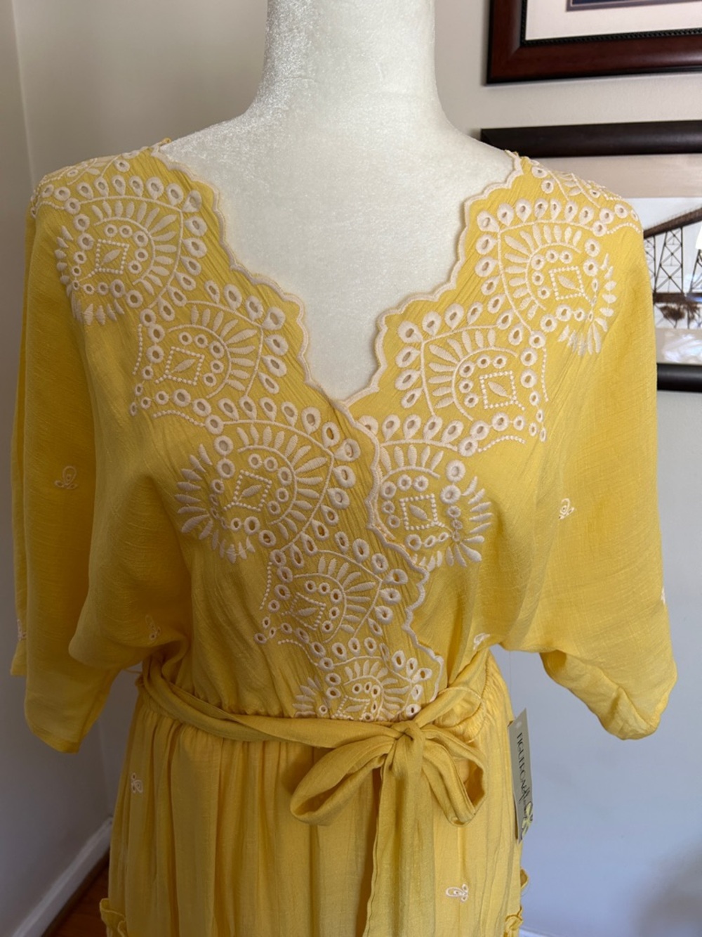 Yellow Embroidered Tie-Waist Maxi Dress - Picture 2 of 7